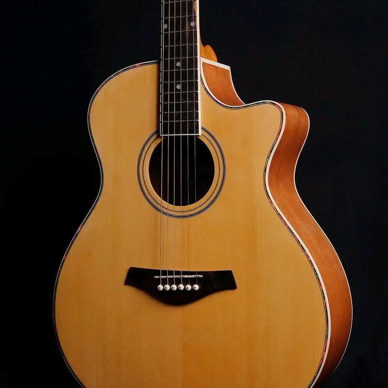 GITAR AKUSTIK JGS TX 01 NA ABALONE JOGJA GUITAR SHOP 2