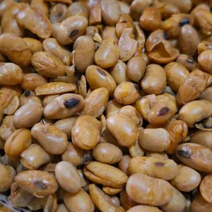 camilan kacang kedelai goreng gurih 1kg