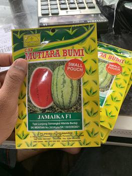 Product Review of Benih Semangka Lonjong Hibrida Jamaika F1 Isi 100 Butir Cap Mutiara Bumi from A**1 2