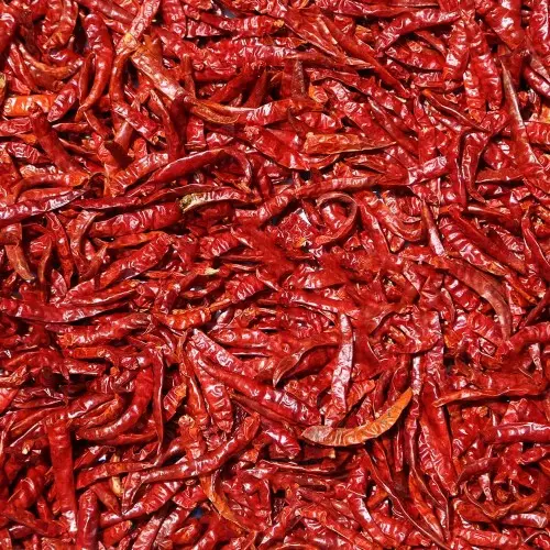 Cabe Rawit Kering Super Grade A - 1 kg, Termurah dan Berkualitas - Food, Goreng, Pedas Bahan Spices Cabai Bubuk Masakan Chili 2