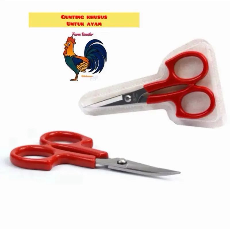 Gunting Kusus Jengger ayam