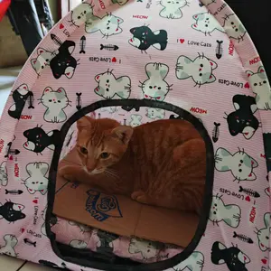 Penghilang Bau Pesing dan Kotoran Pup Kucing Anjing 60ml Aerizoo