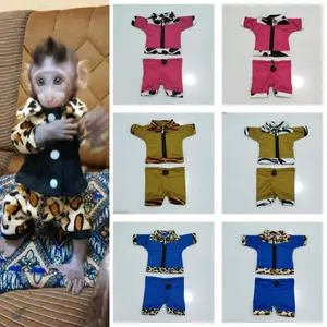 Setelan baju untuk monyet (Kemeja Jaket kombinasi size XS)