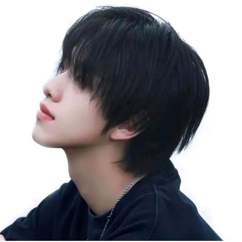 Product Introduction of WIG PRIA RAMBUT PENDEK TEBAL WARNA HITAM MODEL COWOK KOREA GRATIS WIGCAP 10