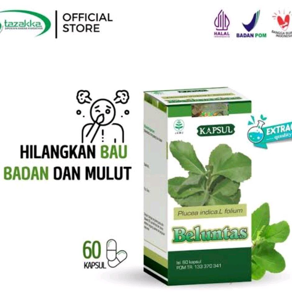 Beluntas Penghilang Bau Badan dan Bau Mulut Daun Luntas Kapsul Baruntas Gusi