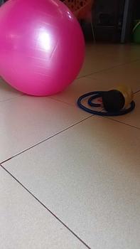 Product Review of SPEEDS GYMBALL 55 CM 65 CM 75 CM BOLA GYM BOLA YOGA GYM BALL from d**1 0