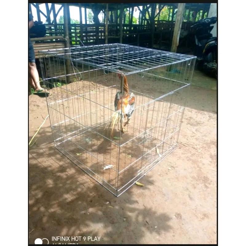 KANDANG KURUNGAN AYAM BESI LIPAT PERSEGI 80×80×80 7