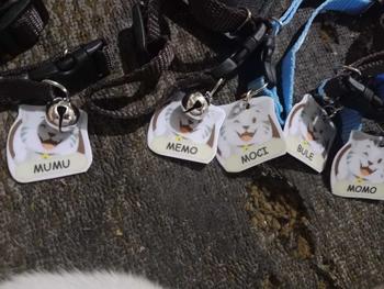Product Review of Kalung Kucing Nama - Kalung Kucing Nama Custom from A**9 0