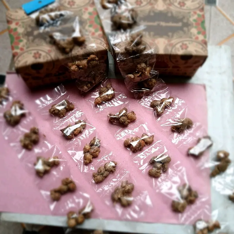 kencur bumbu kering,1 renteng isi 10 pcs 2