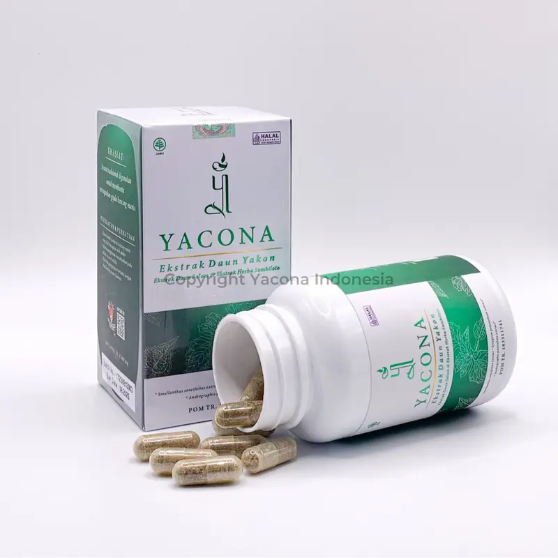 Yacona Yakona Herbal Diabetes - Kapsul Herbal Alami untuk Kontrol Gula Tinggi dan Perbaikan Pankreas - 60 Kapsul, BPOM 2