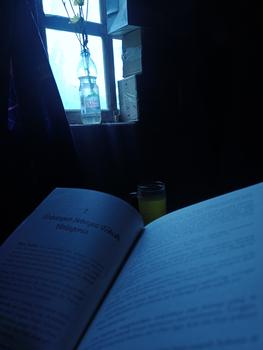 Product Review of [Namina Books] Woke Up As a Vilaness Extended Version Soft Cover from -**e 0