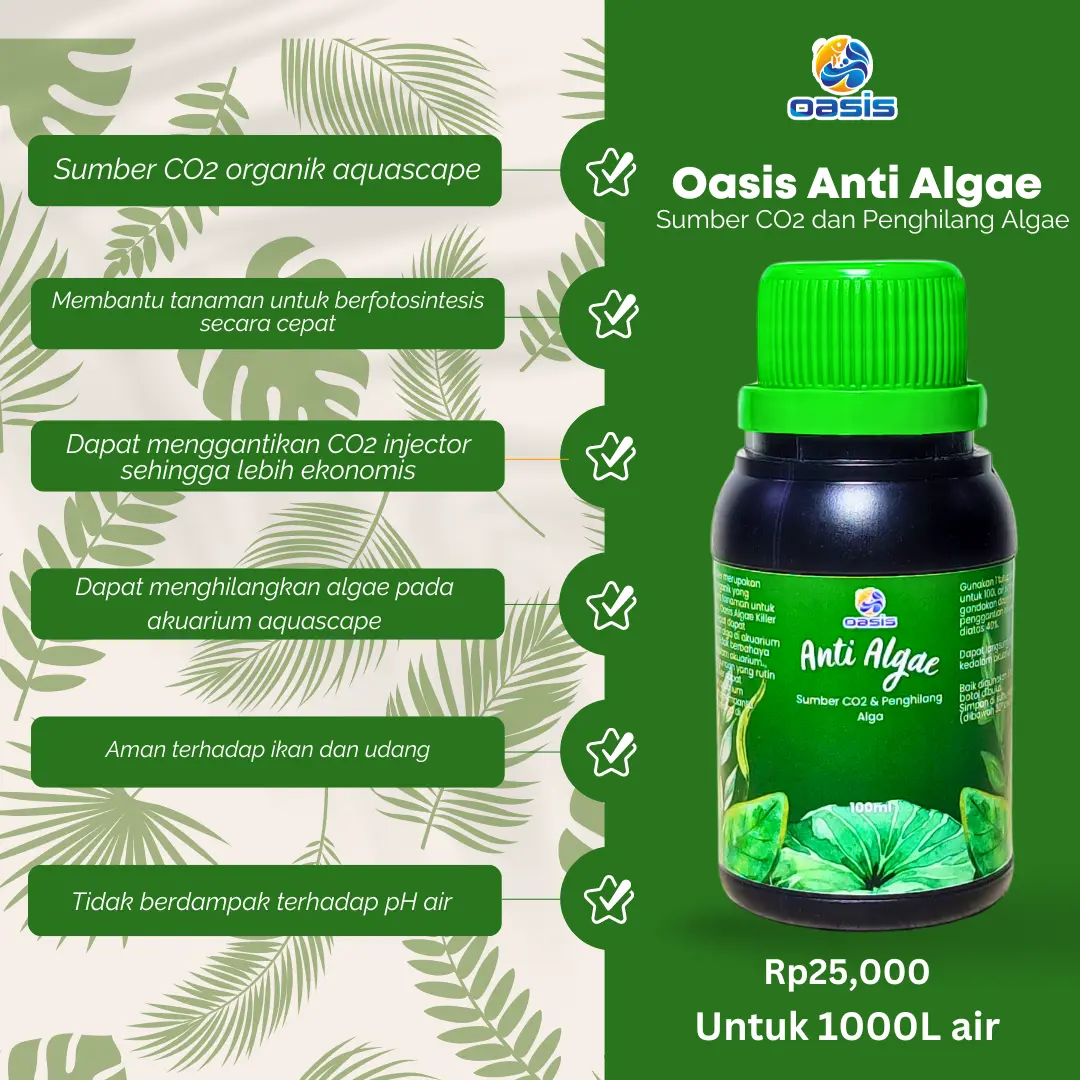 Oasis Anti Algae 100ml (Sumber CO2 dan Penghilang Alga)