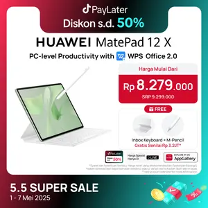 HUAWEI MatePad 12 X Tablet | PC-level WPS Office | PaperMatte Display | GoPaint | 66 W SuperCharge