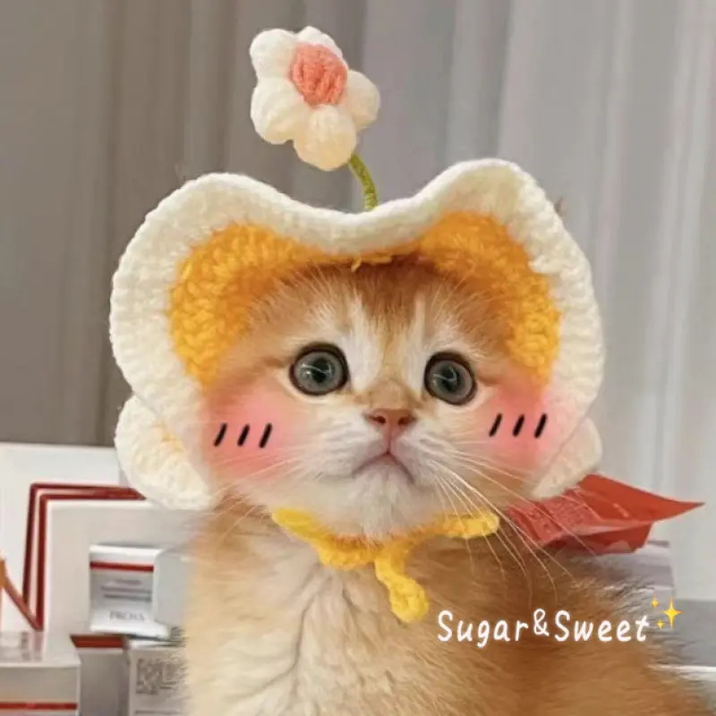Pet cat hat Springfield flower cute cat headgear British shorthair cat and dog headdress woven decoration