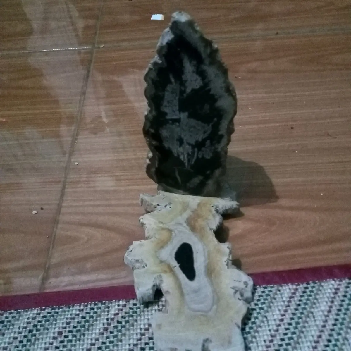 fosil kayu beotip dan umik