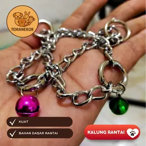Kalung Rantai Kuat untuk Hewan Peliharaan – Anti Karat & Awet | Bonus Lonceng Lucu