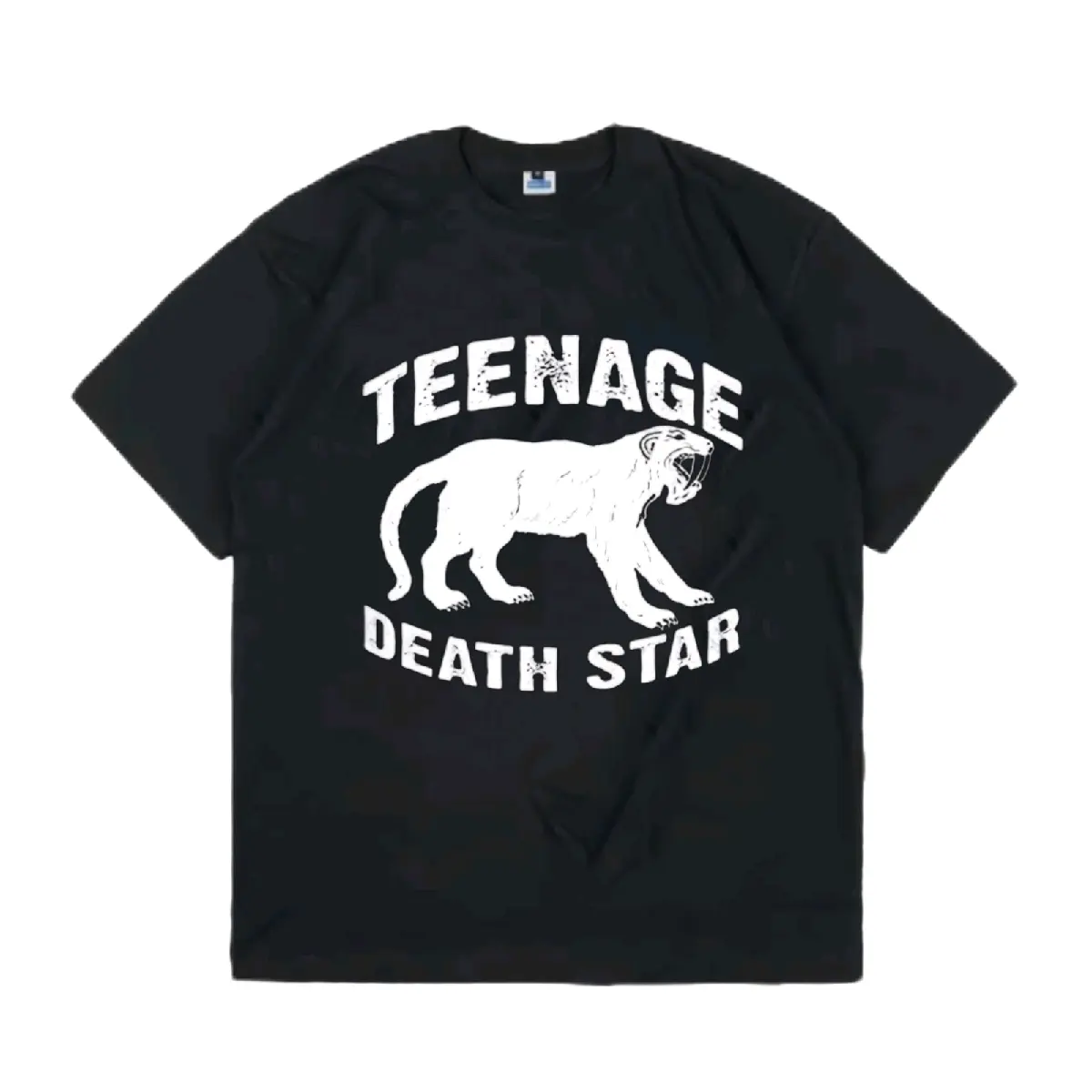 BAJU KAOS BAND / KAOS MUSIK TEENAGE DEATH STAR VINTAGE PREMIUM Combed Sablon Distro
