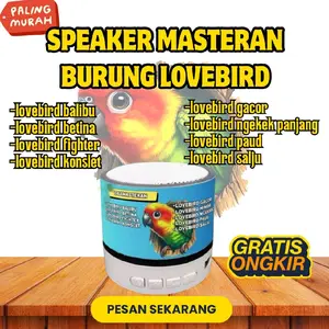 SPEAKER MP3 MASTERAN BURUNG KHUSUS BURUNG LOVEBIRD