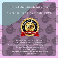 Gambar Piala Throphy Kejuaraan Tinggi 36 cm Bebas Custom Tulisan Foto Angka dan Ucapan - Angka dari Bonekahandmadesukasuka Kab. Sukoharjo 5 Tokopedia