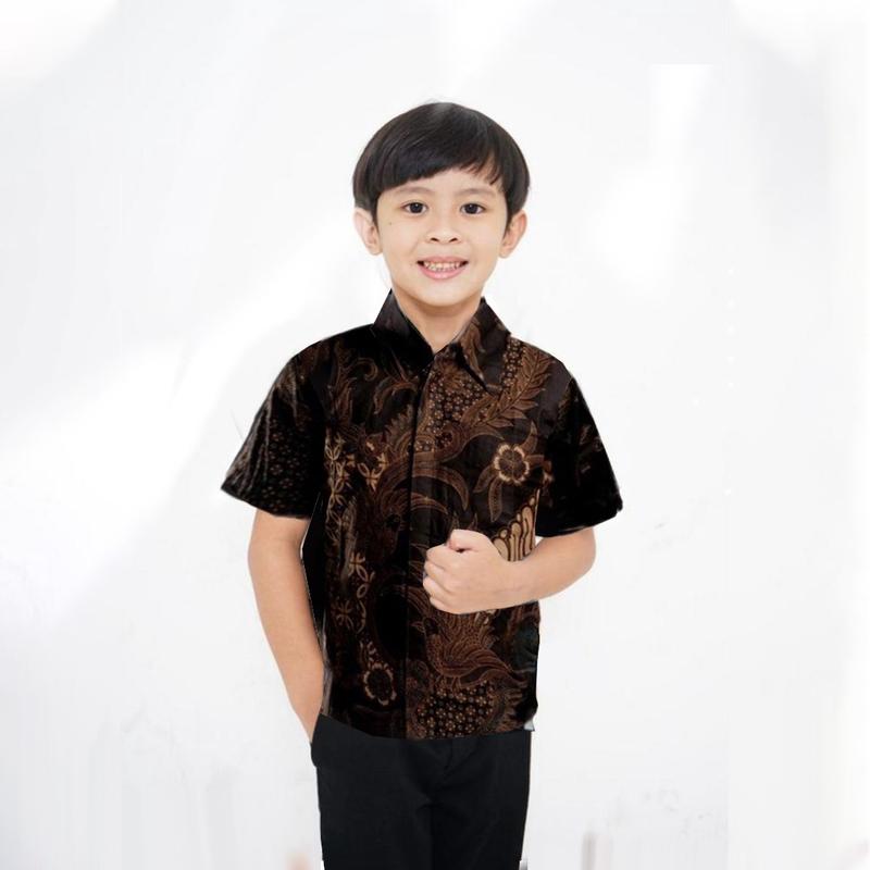 Zahra Batik - Kemeja Batik Anak Laki-Laki Lengan Pendek 2-10 Tahun Kemeja Anak Cowok Baju Anak 2