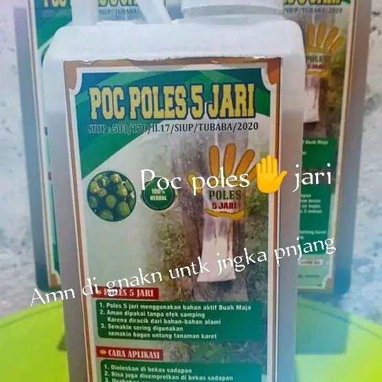 poc poles 5 jari/vitamin getah Organik 3