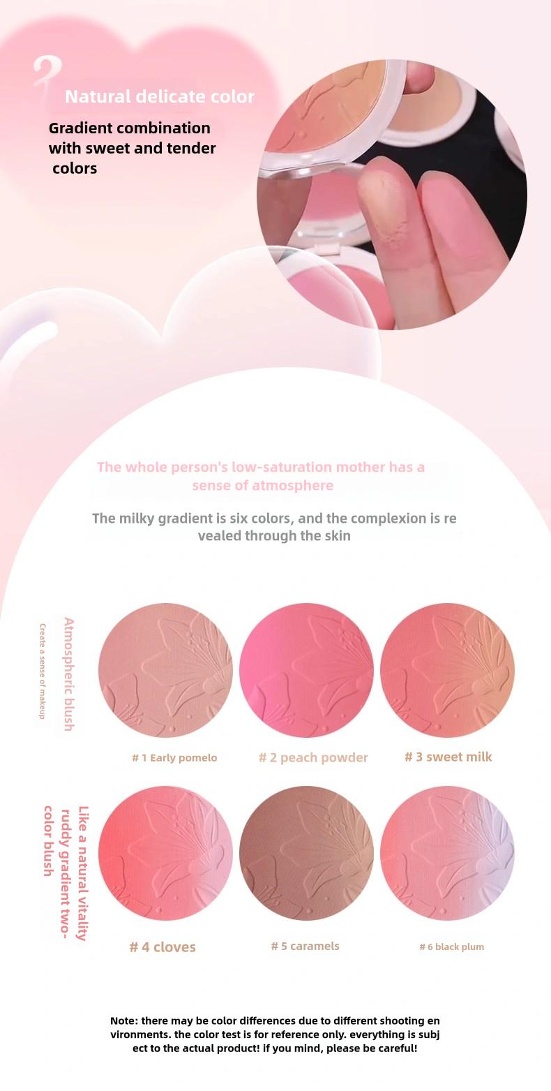 Product Introduction of 【buy 1 get 1 free】ZVEV Gradient powder blusher+brush, low saturation, improve atmosphere, can be used as concealer, 6 colors 3