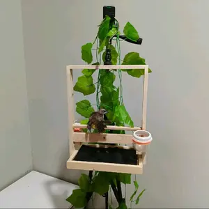 Sangkar Burung Layang Jati Landa Aesthetic