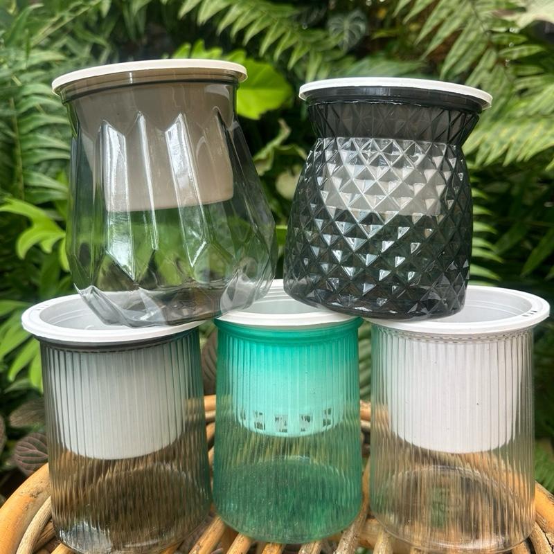  Chậu nhựa trồng thuỷ sinh thuỷ canh chậu thông minh tự tưới 10*13cm 