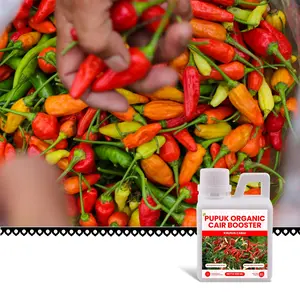 COD PUPUK ORGANIC CAIR BOOSTER CABAI PONJAWI 500 ML - POC, Pupuk 100% Organik, Pupuk Penyubur Tanaman Buah, Pupuk Cepat Berbuah, Pupuk Cair Penyubur Daun & Akar