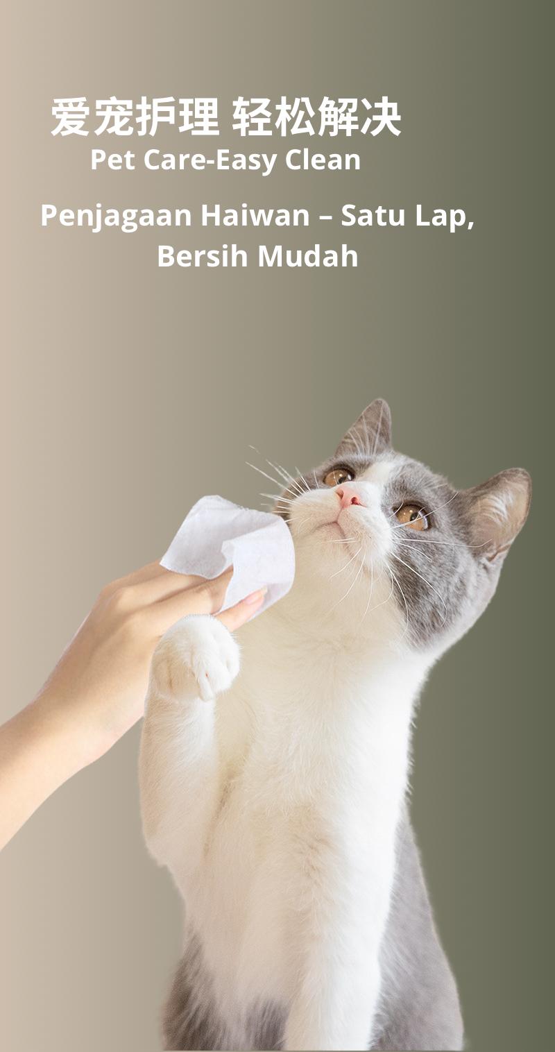 Product Introduction of 【Pet Deodorizing Wipes 】 Natural & Gentle, Removes Odors Instantly 2