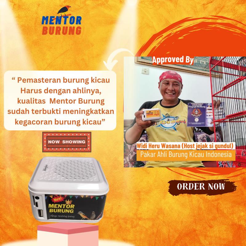 [COD] Mp3 Burung Speaker Khusus Pemasteran Burung Lomba Paling Gacor Murai Pleci Love Bird Falk Kenari Parkit Jalak Cucak Rowo Bass Jam Black 2