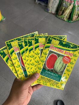 Product Review of Benih Semangka Lonjong Hibrida Jamaika F1 Isi 100 Butir Cap Mutiara Bumi from A**1 0