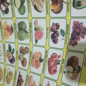 Paket 6 Lembar Poster Edukasi Anak Huruf Lepas, Angka 1-50, Buah-buahan, Hewan, Transportasi, Huruf Hijaiyah.