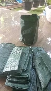 Product Review of Planter Bag Easy Grow 3L Hijau 15x18cm Tebal Tanpa Handle from 𝙂**𝙐 𝘿**𝙊 0