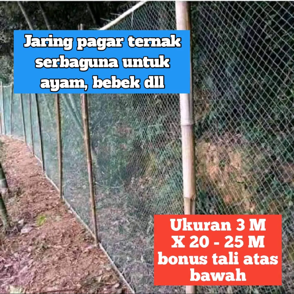 Jaring Pagar Ternak Ayam, Bebek Ukuran 3 M X 20 - 25 M