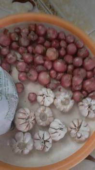 Product Review of Bawang Putih Alami 500 gram Penyedap Masakan Baso Rempah Herbal from R**a S**k 0