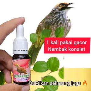 vitamin cucak Rowo vit voice ( penggacor burung cucak Rowo) macet bunyi habis mabung / sangkar jatuh / tangkapan hutan mh