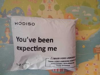 Product Review of HODISO - Awesome Hoodie Jumper Pullover Reguler Fit from ** 0