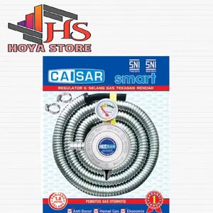 CAISAR selang regulator smart meter , regulator smart meter