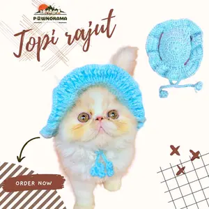 Topi rajut kucing all size kitten sampai dewasa Aksesoris