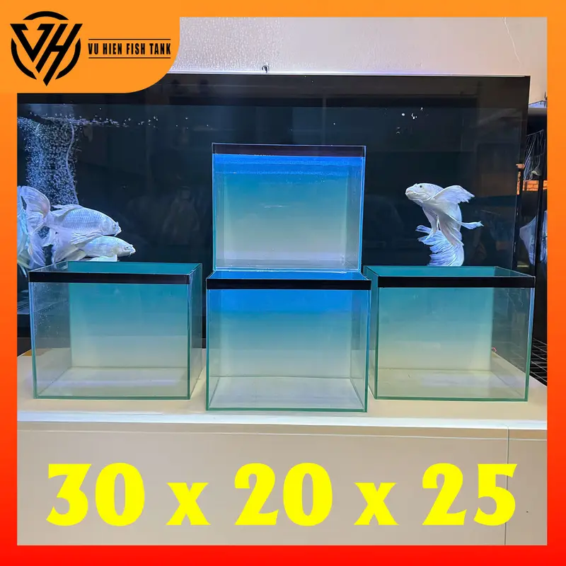 Hồ 30x20x25 bả keo đen tặng tranh BlueSky 0