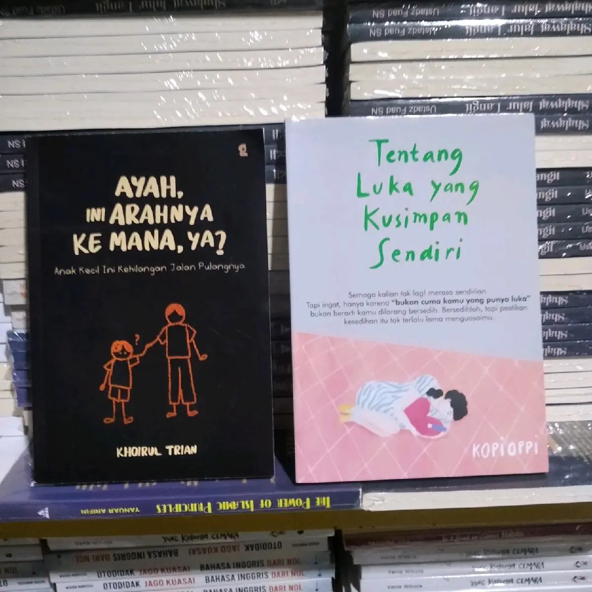 paket 2 buku ayah ini arah nya kemanaya+tentang luka yang ku simpa  sendiri