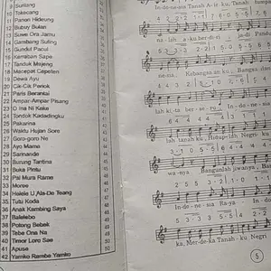 Buku pianika himpunan lalu lagu wajib naisonal daerah Indonesiaku Psychology