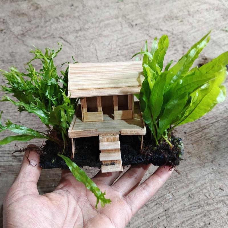 Product Introduction of tanaman miniatur rumah tanaman sintetis hiasan akuwarium 2