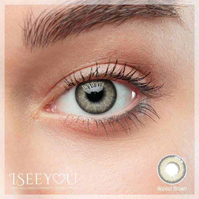 (Free Case) SOFTLENS I SEE YOU WALNUT BROWN 14.5MM SOFTLENS NORMAL SD -6.00 Soflens Lensa 3