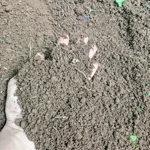 1 kg tanah gembur asli hutan belntra. masih kaya nutrisi dan asli tanah hutan . cocok untuk media tanamn hias