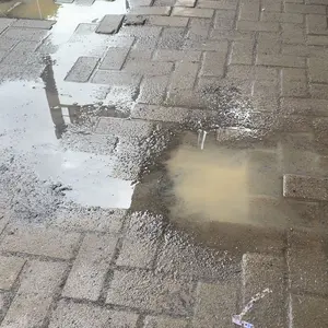 33cm. SADDLE SHOES /catokan sepatu/shoetree/penyangga sepatu