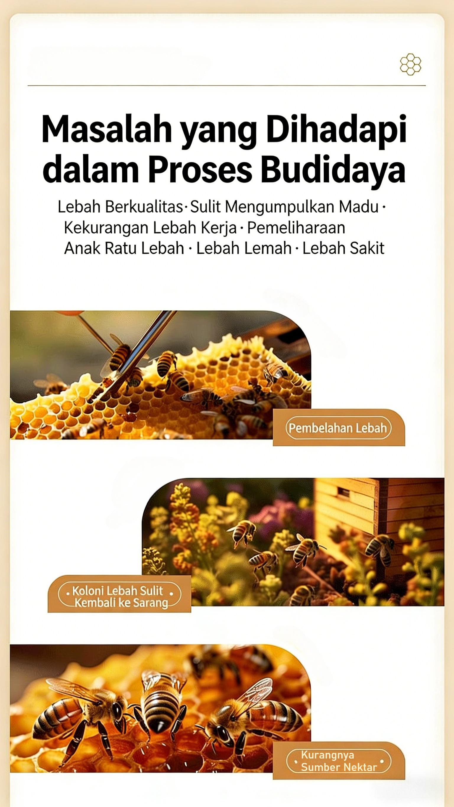 Gel pemikat lebah | Salep Feromon Apis Cerana Pemikat Lebah Madu