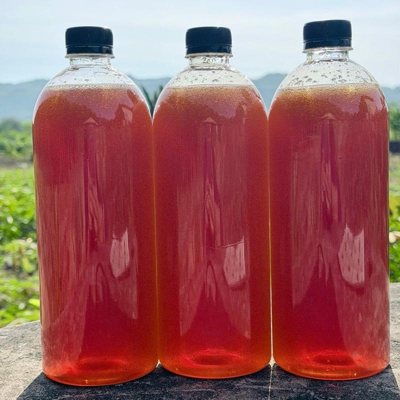  Combo 3 lít mật ong hoa rừng bông trắng 