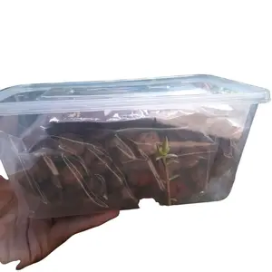 Paket Hemat Sereal Choco Crunch - Sarapan Sehat Anak dengan Sereal Susu Granola Oatmeal Diet Coklat Putih Tinwall Sendok